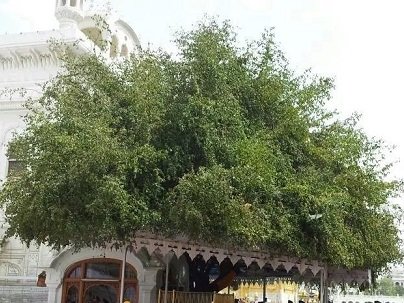 Gurdwara Sri Lachi Ber Sahib