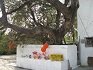 Gurdwara Sri Tahli Sahib Munak Khurd