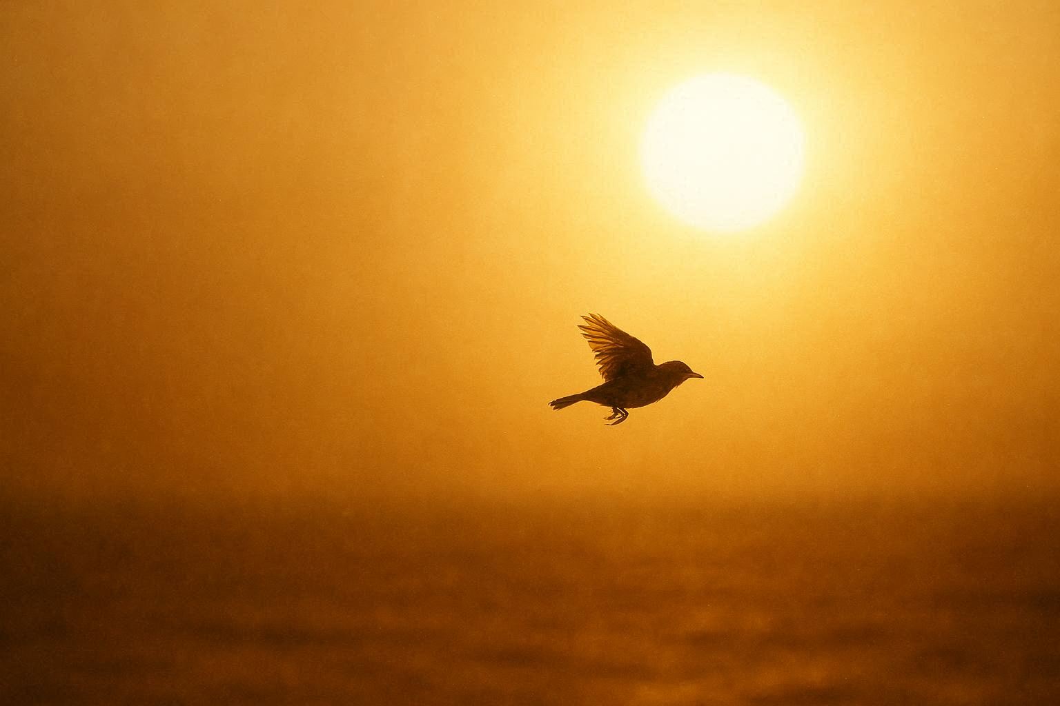 Even freedom burns without a place to rest
