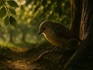 The Little Bird Who Never Gave Up